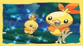 LIVE Shiny Torchic after a BRUTAL 23084 SRs in Alpha Sapphire [upl. by Tanny]