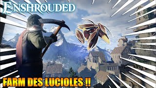 ENSHROUDED  RÉCOLTER DES LUCIOLES TUTORIEL [upl. by Ynehteb]