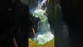 Upper Qualicum Falls Vancouver Island shorts [upl. by Ellesor72]