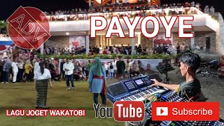 LAGU JOGET WAKATOBI  PAYOYE  JOGET TERBARU [upl. by Hedvig395]