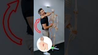 How to fix rhomboid and shoulder blade pain rhomboidpain shoulderbladepain [upl. by Sualokin]