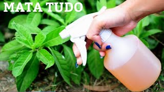 Nunca mais tenha praga nas plantas  pulgãomoscanilhas [upl. by Yelwar742]