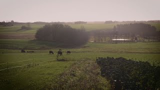 BIODYNAMISKE OMLÆGNINGSTJEK HOS ØKOLOGISKE LANDMÆND [upl. by Sul]