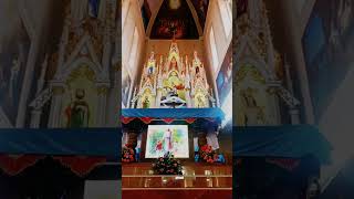 St Thomas Cathedral Irinjalakuda shortsvideo christianprayer powerfullprayer jesusprayer [upl. by Natsyrt]