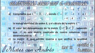 SELECTIVIDAD PAU EBAU EVAU MATEMÁTICAS II JUNIO 2017 COMUNIDAD VALENCIANA – ÁLGEBRA 02 [upl. by Rdnaskela]