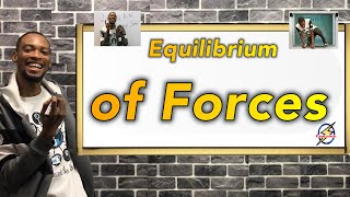 Equilibrium of Forces  Detailed Physics Explanations [upl. by Latia]