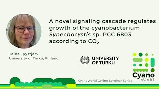 Taina Tyystjärvi  A novel signaling cascade regulates growth of Synechocystis according to CO2 [upl. by Lion]