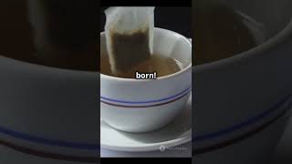 How Tea Bags Were Accidentally Invented [upl. by Yenffad]