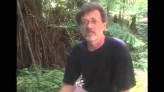 An overview of Novelty Theory Terence Mckenna [upl. by Arihat]