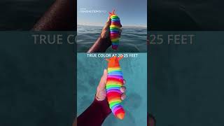 Underwater color test at 50ft15m using waterproof camera 🌈DJI Osmo Action 5 Pro 🎬 roamtobewild7801 [upl. by Quick]