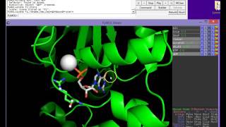 CHEM 444  PyMol Making a Galpha Movie  Part 1 [upl. by Eirollam]