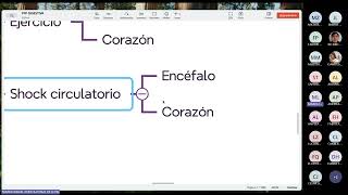 FISIOLOGIA FISIOPATOLOGIA  FASE 3  TEORIA 03  01 [upl. by Lehmann51]