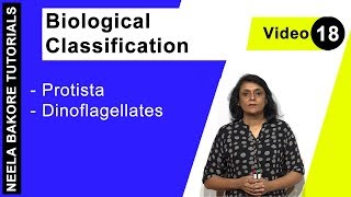 Biological Classification  NEET  Protista  Dinoflagellates  Neela Bakore Tutorials [upl. by Femi]