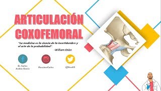 Anatomía  Articulación Coxofemoral Superficies Articulares Cápsula y Ligamentos Movimientos [upl. by Perdita590]