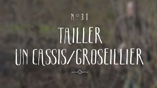 Tailler un cassis ou un groseillier [upl. by Atin]