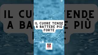 Il Cuore Batte di Più quando Incontri lo Sguardo della Cotta – Ecco il Perché [upl. by Auburta]