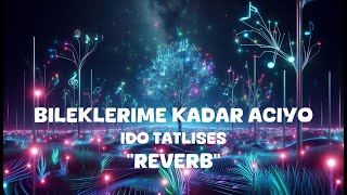 Ido Tatlises  Bileklerime Kadar Aciyo Reverb Lyrics [upl. by Nethsa932]