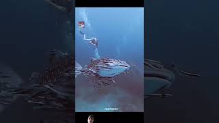 Remora Fish 🐟 amegingfact 😱😮😱😮😱viralshorts [upl. by Llehsyt119]