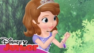 Sofia den første Amber og karnevalskonkurransen Disney Junior Norge [upl. by Nwahsd]