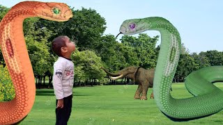 Fishing and snake attack  elephant attack  snake video vfx [upl. by Shuler]