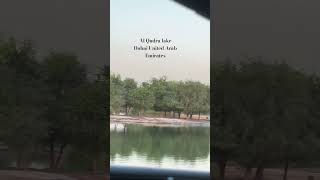 Al qudra lake [upl. by Wolfgram]