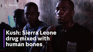 Drug mixed with human bones ravaging Sierra Leone [upl. by Aicirtel]