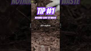 TIP 1 I Made My Own MULCH  Here’s HOW [upl. by Niliak]