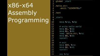 x8664 Assembly ASM 7  Input [upl. by Werna]