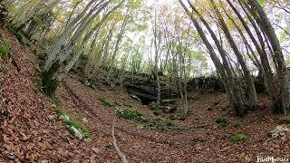 Il respiro del Bosco Sacro di Angitia ❤️ [upl. by Illoh]