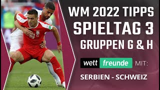 WM Tipps 3 Spieltag ⚽ Gruppen G amp H Prognose ⚽ mit Serbien  Schweiz [upl. by Mw3]