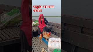 DVM Bangladesh chicken breed [upl. by Keefe534]