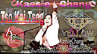 Tso Koj Tseg  Kassie Chang  1st Album [upl. by Aunson]