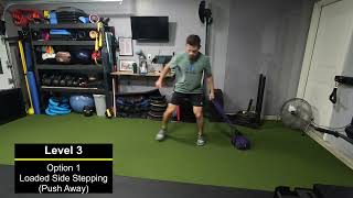 Lateral Movement Hip Emphasis Levels [upl. by Perl431]