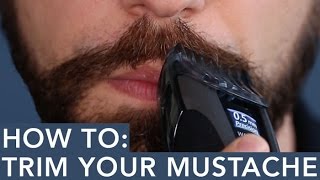 How to Trim Your Mustache [upl. by Iadrahc]