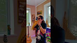 Instrumental Flute Feuertanz cover Music Zampoña Ammorett ammorett flutemusic shoorts fyp топ [upl. by Toma]