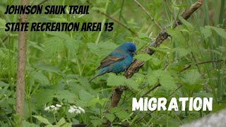 Johnson Sauk Trail State Recreation Area 13  MIGRATION [upl. by Marilla]