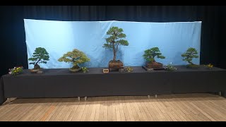 Follow us as we visit the Ayrshire Open Bonsai Exhibition 2024 [upl. by Cheadle]