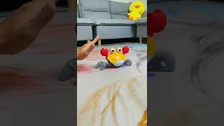 Crab Toy For Toddlers That Move shorts viral ding don [upl. by Nolrah]