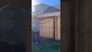 Staining a fence with a pump sprayer fencelife fencecartel [upl. by Nalo]