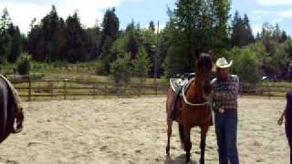 How to Make a Halter Work as a Hackamore [upl. by Chapa799]