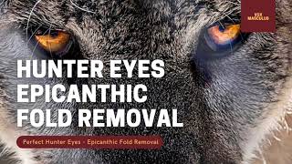 Hunter Eyes  Epicanthic Fold Removal  Powerful Subliminal [upl. by Derrik]