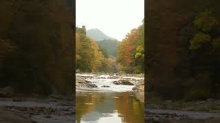 Autumn river sounds autumn river [upl. by Natek]