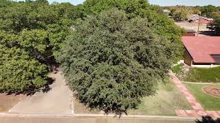 119 East 27th Street Littlefield Texas with DJI Air 3 [upl. by Aloap]