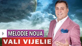 VALI VIJELIE  Deai face Doamne alt pamant MELODIE NOUA 2017 [upl. by Hedi507]