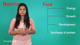 Life Process  2  Modes of Nutrition  CBSE Class 10 [upl. by Rosanne]