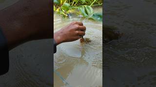 Unique Fishing hand Fishing Challenge Video 😲fishingshortsviralshort [upl. by Kamp830]