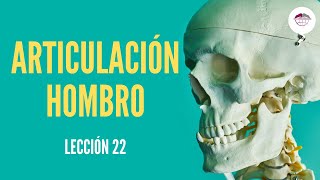 LECCIÓN 22 COMPLEJO ARTICULAR DEL HOMBRO [upl. by Vharat]