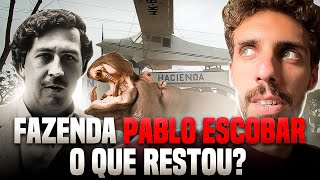 Fazenda Nápoles como esta o SÍTIO do PABLO ESCOBAR [upl. by Garibald]