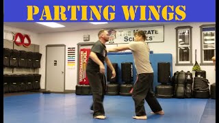 Kenpo Parting Wings Functionalized  Extension and Variations  SelfDefense  Two Hand Push Attack [upl. by Nortna]