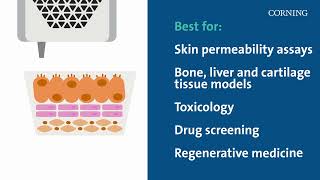 How to Choose 3D Cell Culture Models [upl. by Candida]